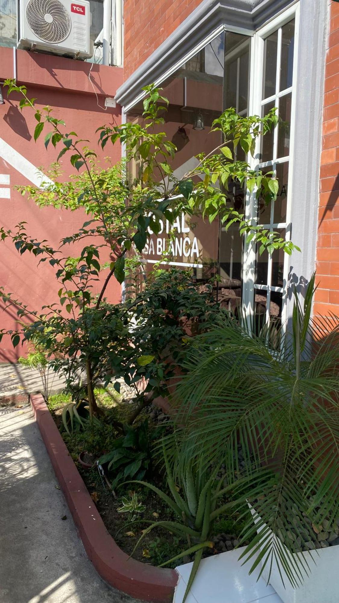 Hostal Casa Blanca Puerto Francisco de Orellana Exterior foto